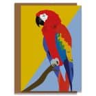 CoCo the macaw greetings card designed by Lorna Syson.