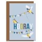 greeting card plastic free sustainable FSC recycled card British Made UK designer hooray bird greeting card