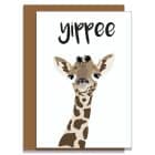 Pack of 6 good times friendship greeting cards with rainbows and flowers luxury British printed FSC greeting cards yippee giraffe