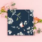 Illustrated birthday card with Blackbird for RSPB, 10% of sales go directly to the charity with blue plants behind. Happy birthday card, FSC sustainable RSPB greeting card pack hummingbird greenfinch long tailed tit art cards charity art pack