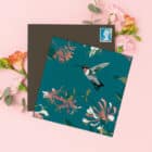 Illustrated birthday card with Blackbird for RSPB, 10% of sales go directly to the charity with blue plants behind. Happy birthday card, FSC sustainable RSPB greeting card pack hummingbird greenfinch long tailed tit art cards charity art pack