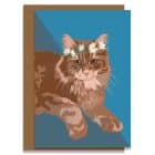 Greetings Card Luxury Designer Personalised Message Sustainable Environmentally Friendly paper from an FSC-certified supplier Plastic Free - Maine Coon cat