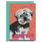 greeting card plastic free sustainable FSC recycled card British Made UK designer celebrate havanese greeting card birthday card congratulations lorna syson