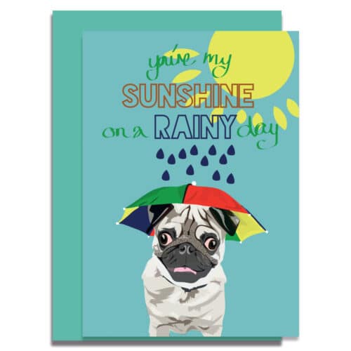 You're my Sunshine on a Rainy Day Greeting Card