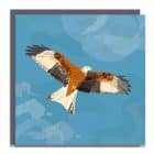 Greetings Card Luxury Designer Personalised Message Sustainable Environmentally Friendly paper from an FSC-certified supplier Plastic Free RSPB bird - red kite