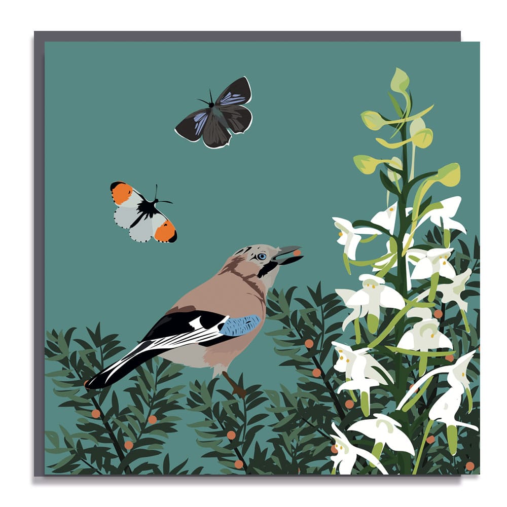 259 Greetings Card Luxury Designer Personalised Message Sustainable Environmentally Friendly paper from an FSC-certified supplier Plastic Free RSPB bird - jay
