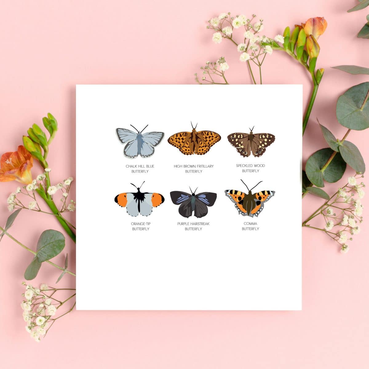 British sustainable greeting card with recycled paper envelope. British butterflies Oxfordshire wildlife