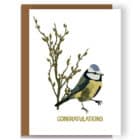 congratulations bird greeting card, luxury greeting card illustrated by award-winning designer Lorna Syson