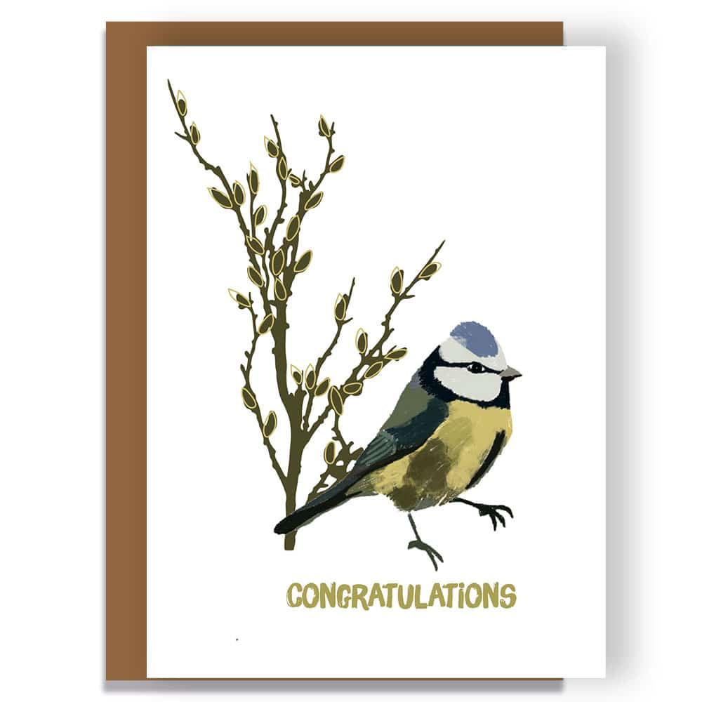 367 congratulations bird greeting card, luxury greeting card illustrated by award-winning designer Lorna Syson