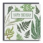 Illustrated birthday card with bee and flowers ferns birthday happy birthday Illustrated birthday card with bee and flowers. British native flowers and bees. Printed in the UK on fsc sustainable card and recycled paper envelopes. Plastic free
