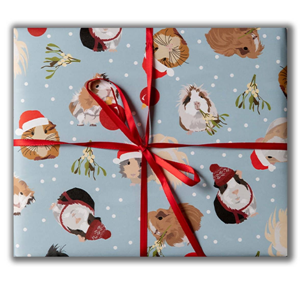guinea pig Christmas wrapping paper luxury wrapping paper gift wrap illustrated wrap sustainable plastic free