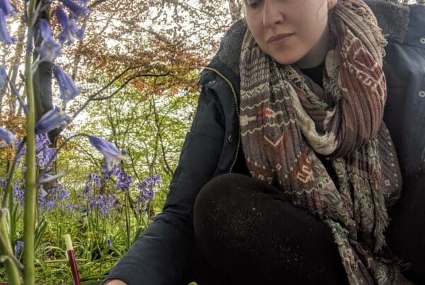 Creating Bluebell Design