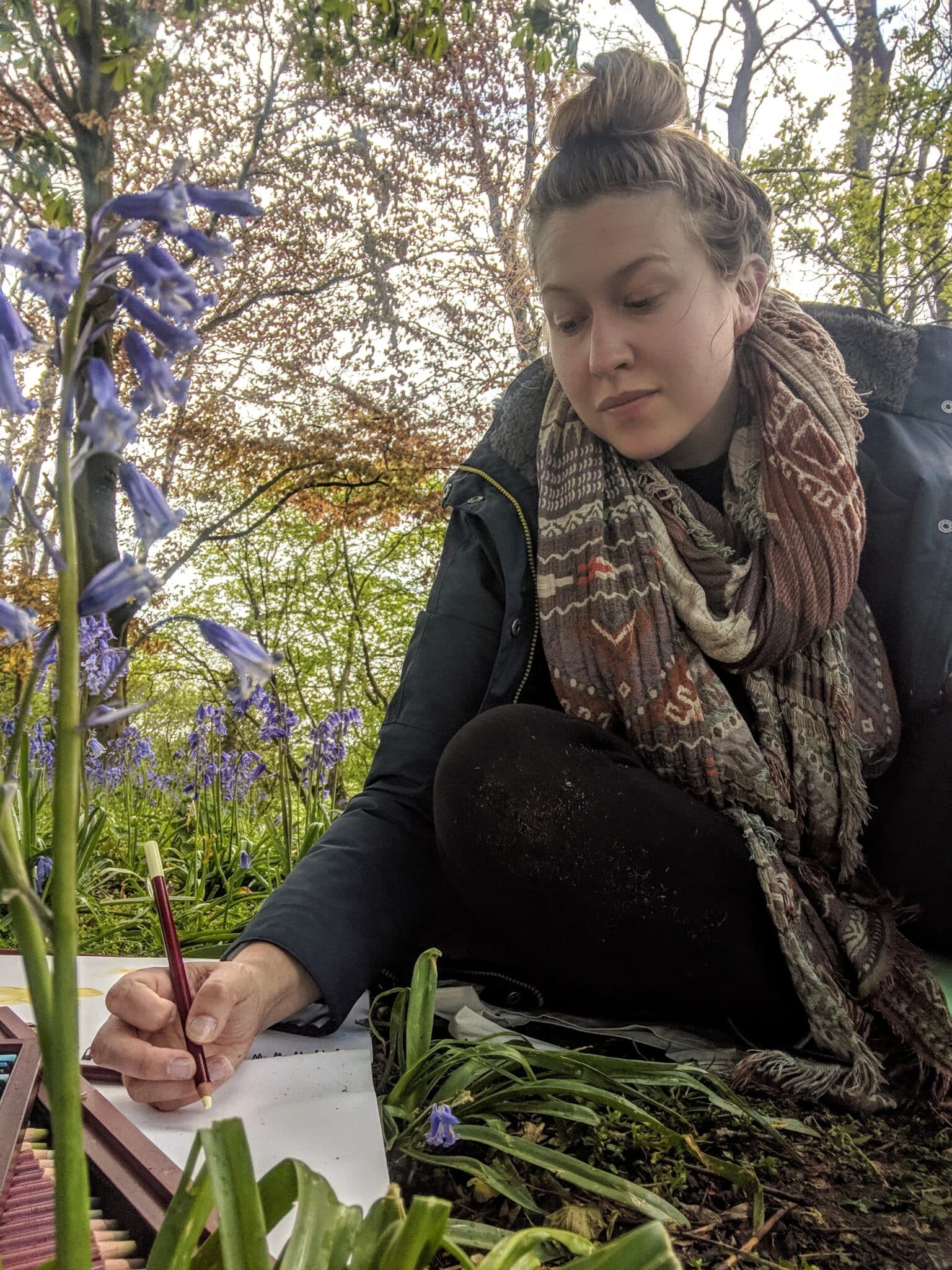 Creating Bluebell Design