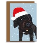 Christmas Card Luxury Designer Personalised Message Sustainable Environmentally Friendly paper from an FSC-certified supplier Plastic Free - Christmas Black Cockapoo