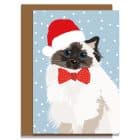 Christmas Card Luxury Designer Personalised Message Sustainable Environmentally Friendly paper from an FSC-certified supplier Plastic Free - Christmas Persian cat called meg