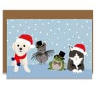 Christmas Card Luxury Designer Personalised Message Sustainable Environmentally Friendly paper from an FSC-certified supplier Plastic Free - Pets Christmas Card