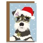 christmas card, monty christmas card, santa hat, dog christmas card, dog card