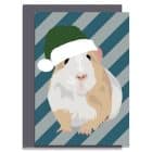 sustainable greeting card Christmas card FSC plastic free skiing dog Ski Chihuahua illustration made in uk british designer Christmas Guinea Pig in green santa hat Card
