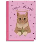 Purrfect Little Angel Christmas card featuring a ginger cat with a halo holding a star on a pink background