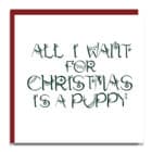 Christmas card, luxury Christmas card, noel Christmas card, designer, Lorna Syson, all i want for christmas is a puppy