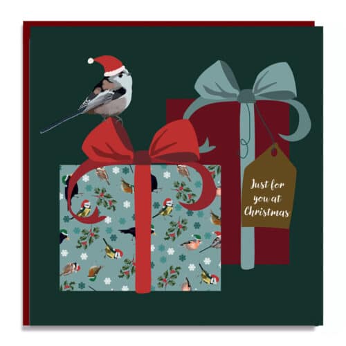 Christmas Card Long Tailed Tit