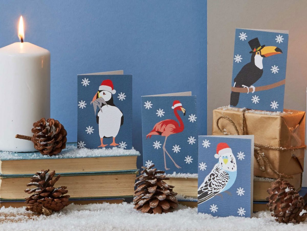 Lorna Syson tropical birds christmas card pack