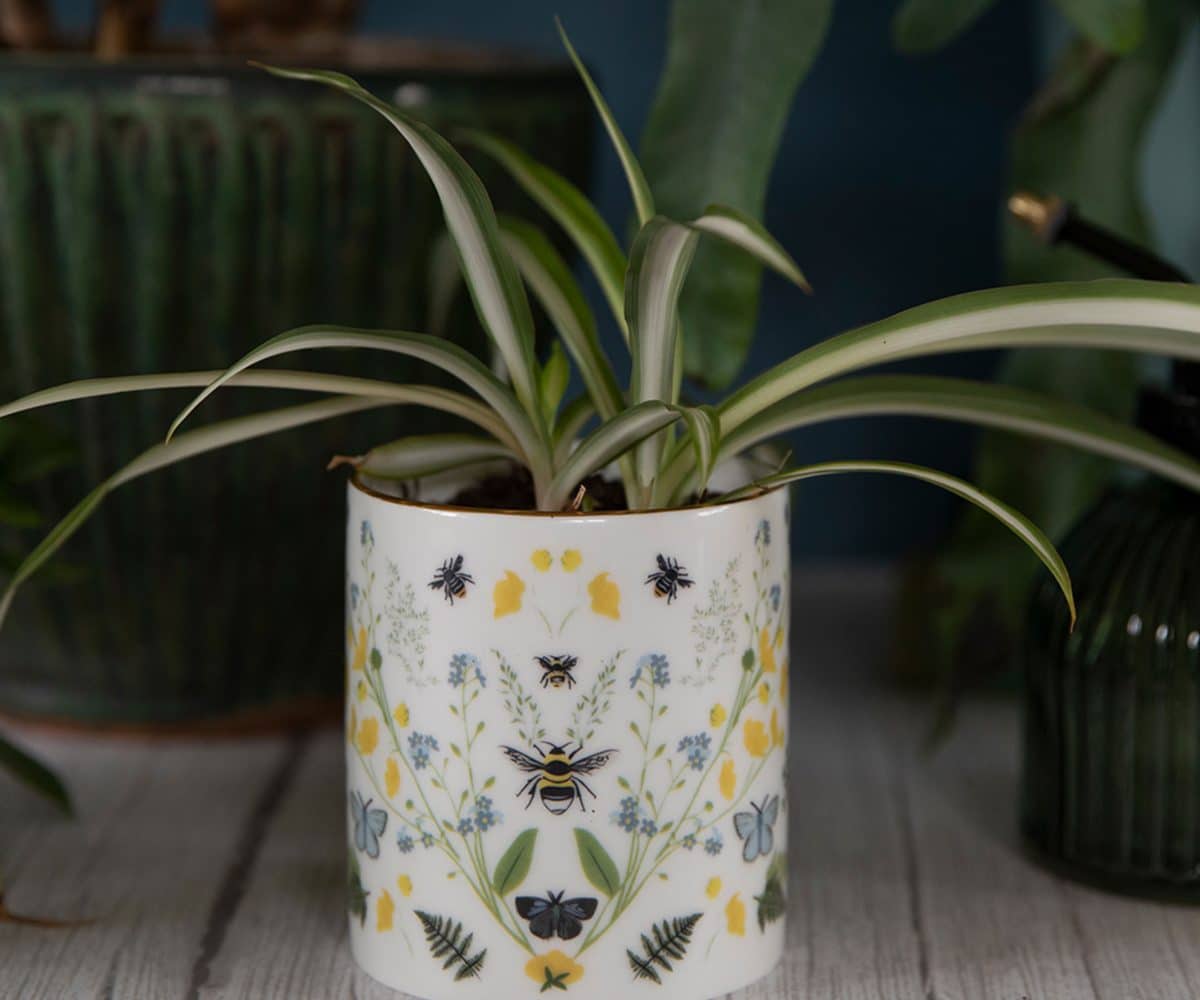 Luxury Ceramic Scented Candle Gifts Handmade UK Luxury Candles Reusable British Wilflowers English Yellow Bee Buttercup Designer Floral Butterfly Flowers Vegan Coconut Wax Lorna Syson