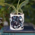 Luxury Ceramic Scented Candle Gifts Handmade UK Luxury Candles Reusable British Wilflowers English Yellow Bee Buttercup Designer Floral Butterfly Flowers Vegan Coconut Wax Lorna Syson