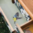 syson whyte Lorna Syson emma whyte woodland furniture upcycled furniture badger illustration collaboration bespoke furniture woodland design countryside chest of drawers wardrobe british design