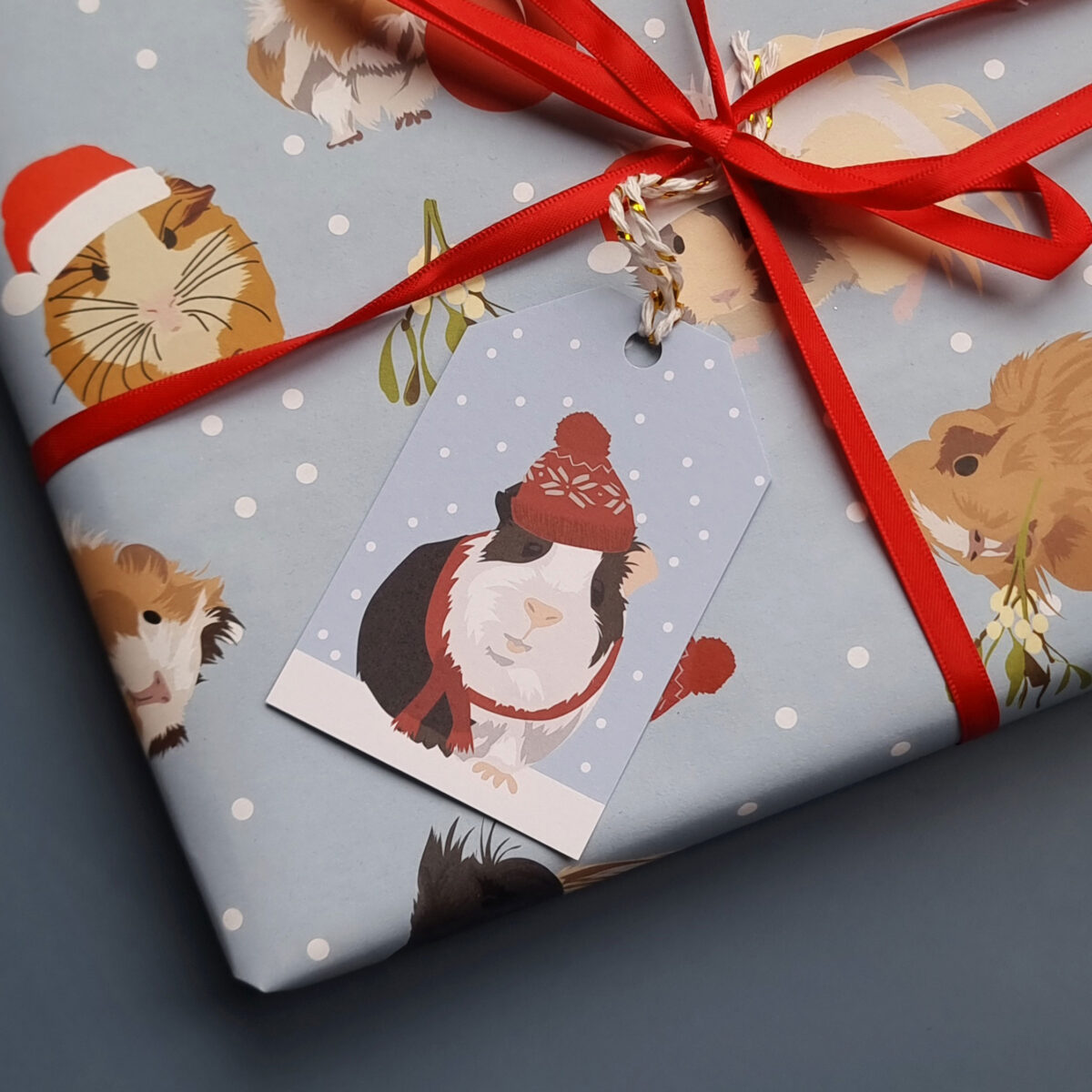 luxury Christmas Gift tags - a set of five gift tags with best selling GUINEA PIG design by award winning British designer Lorna Syson