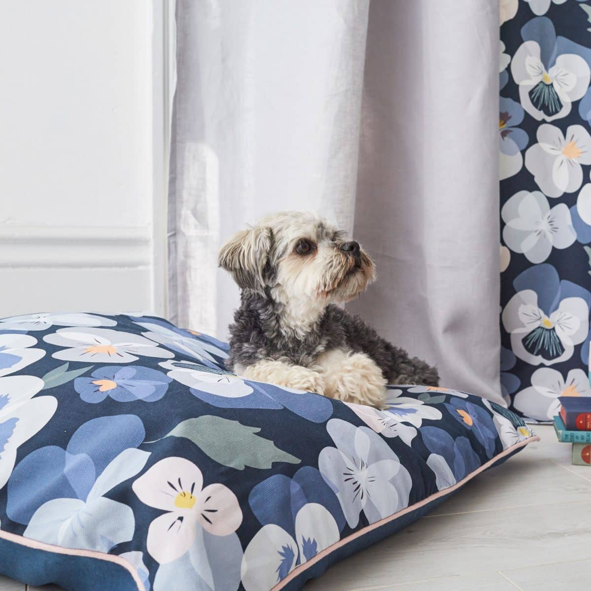 pansy floor cushion