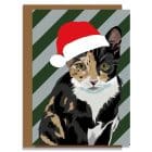 Christmas Card Luxury Designer Personalised Message Sustainable Environmentally Friendly paper from an FSC-certified supplier Plastic Free - tabby cat in santa hat